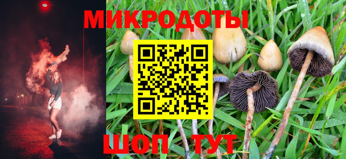Псилоцибиновые грибы прущие грибы Барабинск