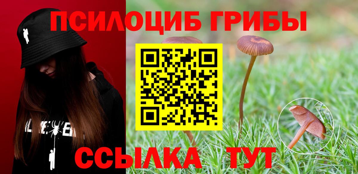 Барабинск  Псилоцибиновые грибы GOLDEN TEACHER  Галлюциногенные грибы мухоморы  Вход с VPN 